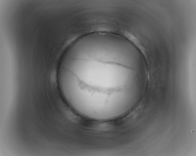 X0000111600249200907301452