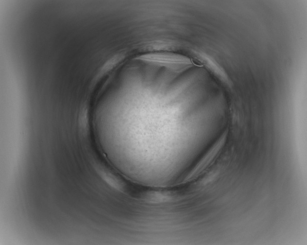 X0000111600250200907301452