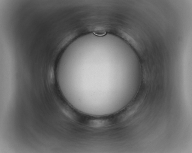 X0000111600251200907301452