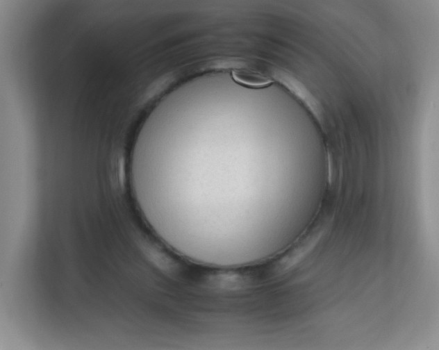 X0000111600253200907301452