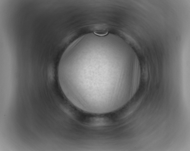 X0000111600255200907301452