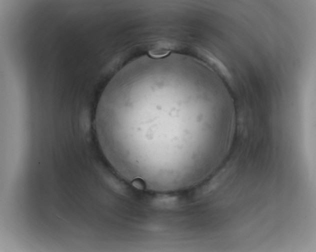 X0000111600257200907301452