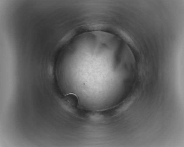 X0000111600258200907301452