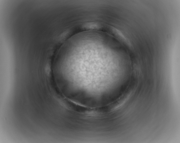 X0000111600259200907301452