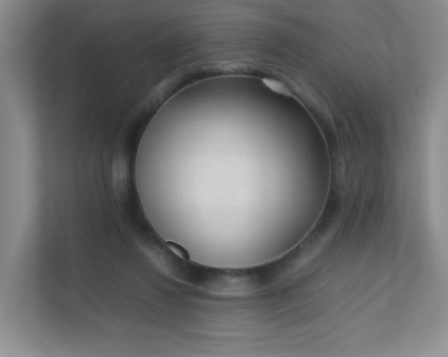 X0000111600260200907301452