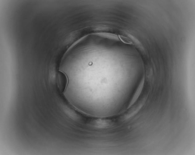 X0000111600261200907301452