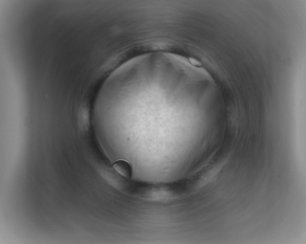 X0000111600262200907301452