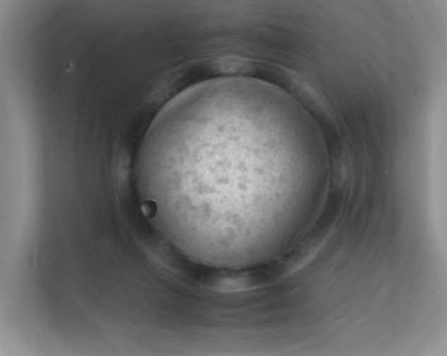 X0000111600263200907301452