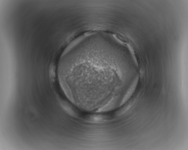 X0000111600264200907301452