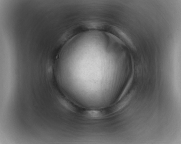 X0000111600265200907301452