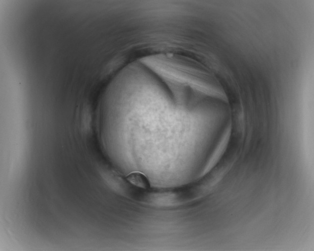 X0000111600266200907301452