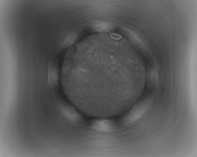 X0000111600268200907301452