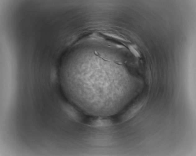 X0000111600270200907301452