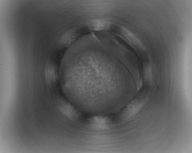 X0000111600272200907301452