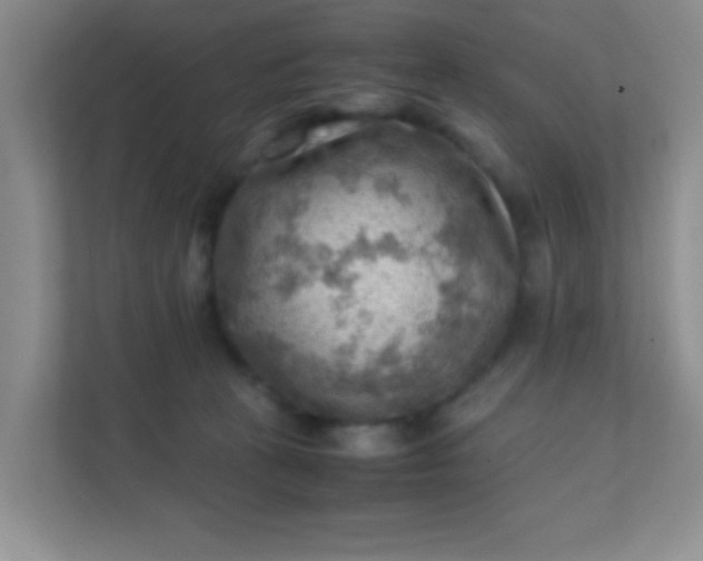 X0000111600273200907301453