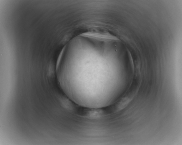 X0000111600274200907301453