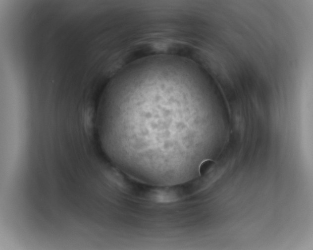 X0000111600275200907301453