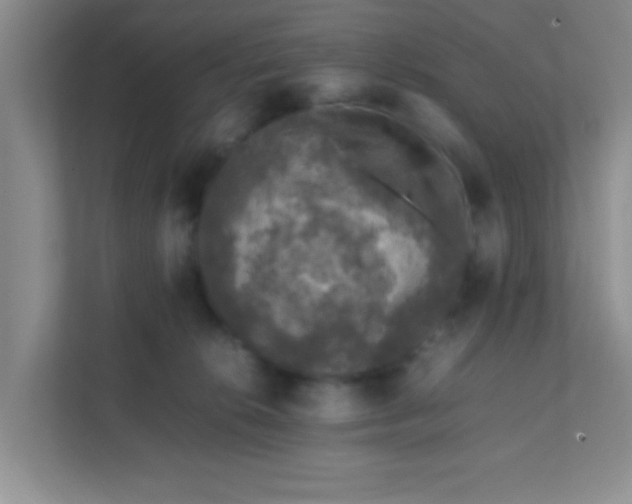 X0000111600276200907301453