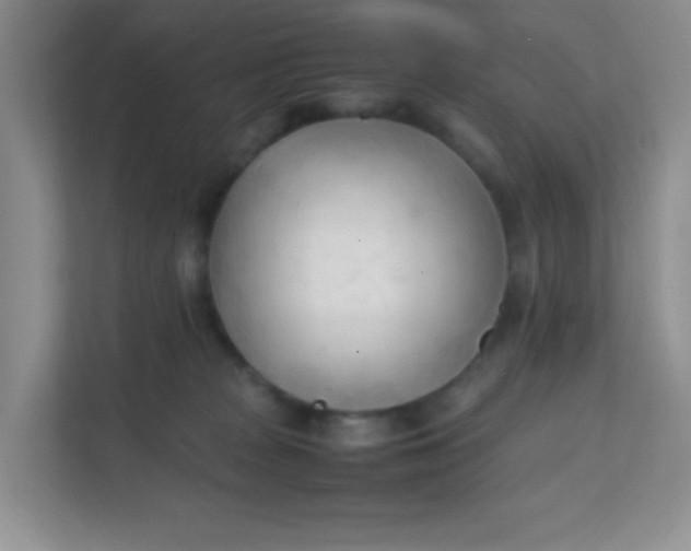 X0000111600277200907301453