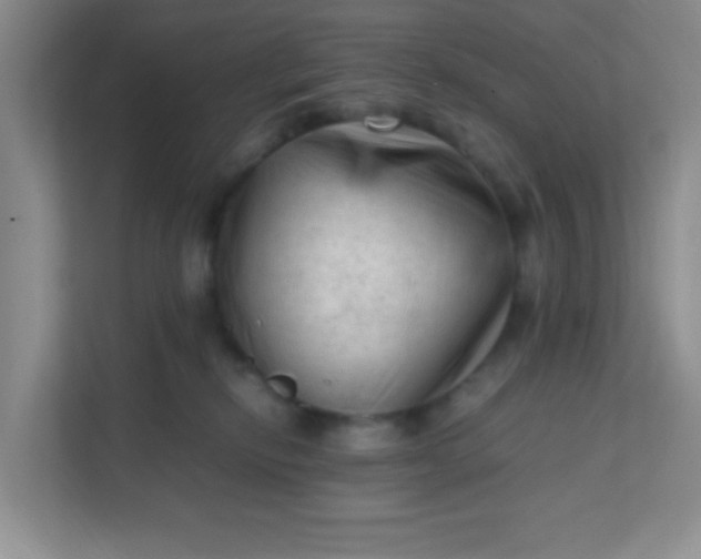 X0000111600278200907301453