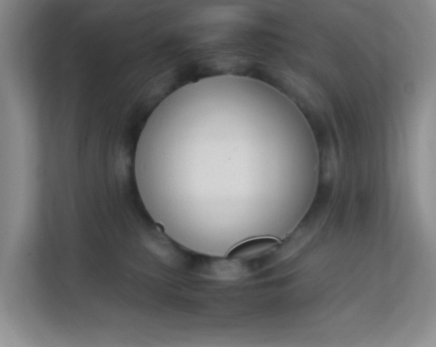 X0000111600279200907301453
