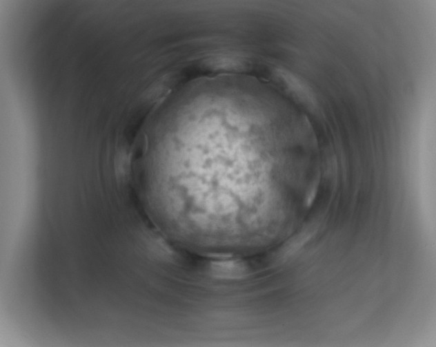 X0000111600281200907301453