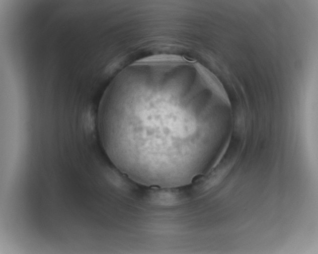X0000111600282200907301453
