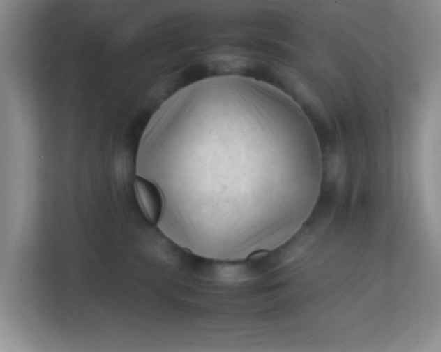 X0000111600283200907301453