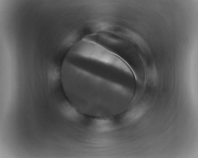X0000111600284200907301453