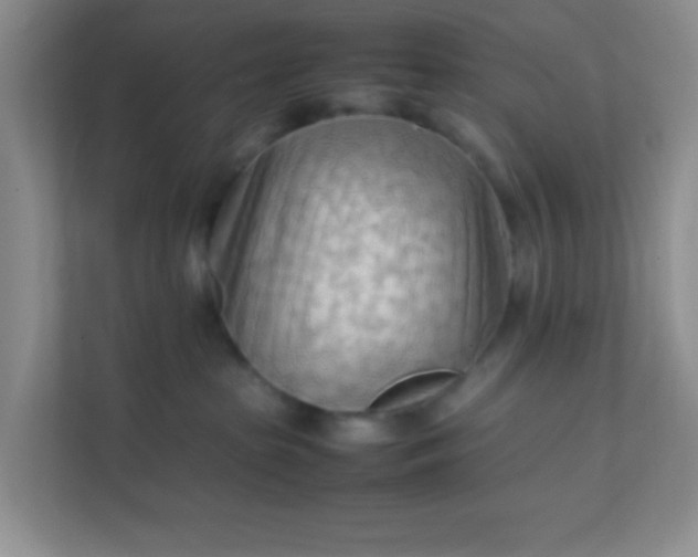 X0000111600285200907301453