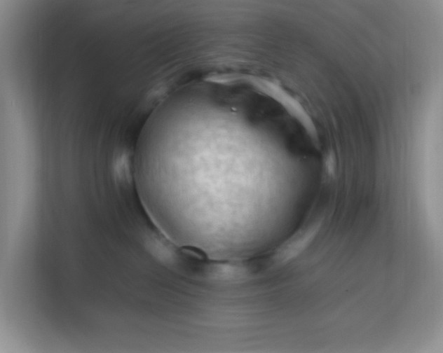 X0000111600286200907301453