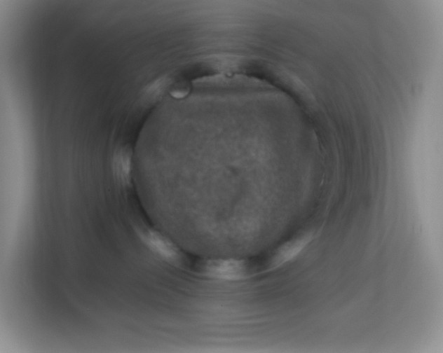 X0000111600288200907301453
