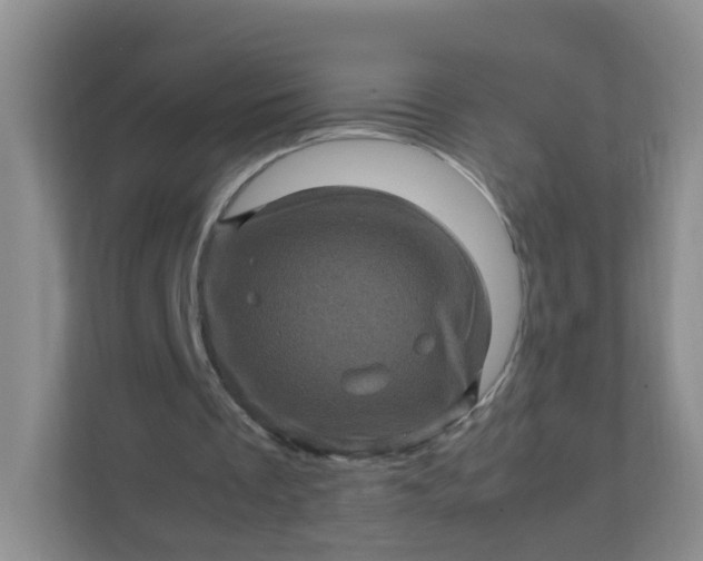 X0000111600289200907301452