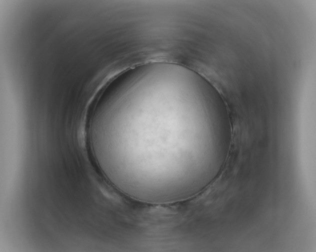 X0000111600290200907301452