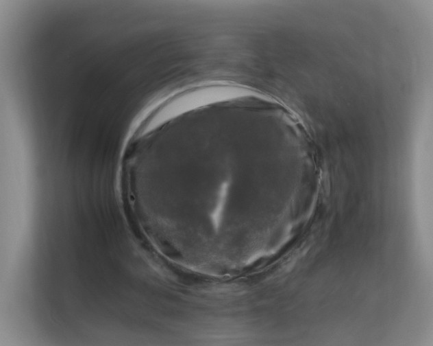 X0000111600292200907301452