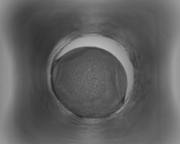 X0000111600293200907301452