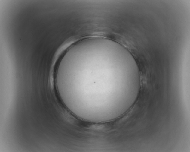 X0000111600294200907301452
