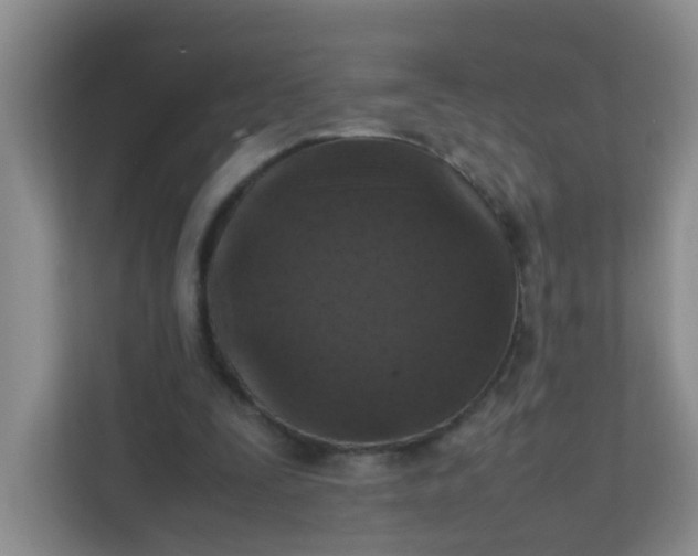 X0000111600295200907301452