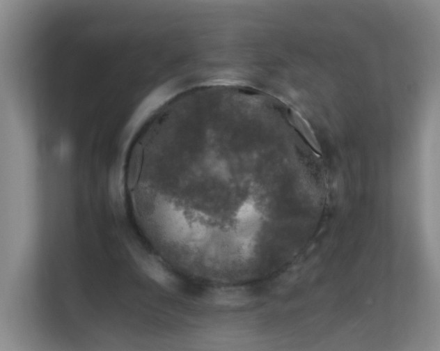 X0000111600296200907301452