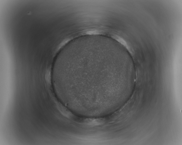X0000111600297200907301452