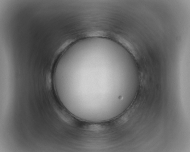 X0000111600298200907301452