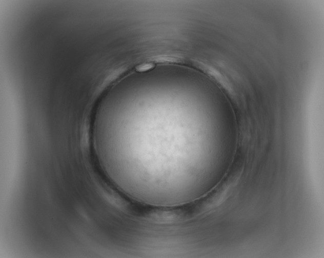 X0000111600299200907301452