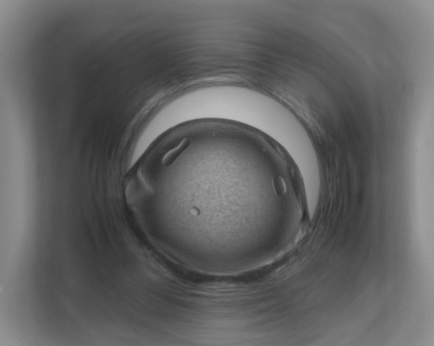 X0000111600300200907301452