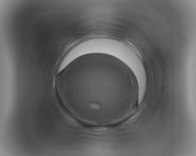 X0000111600301200907301452