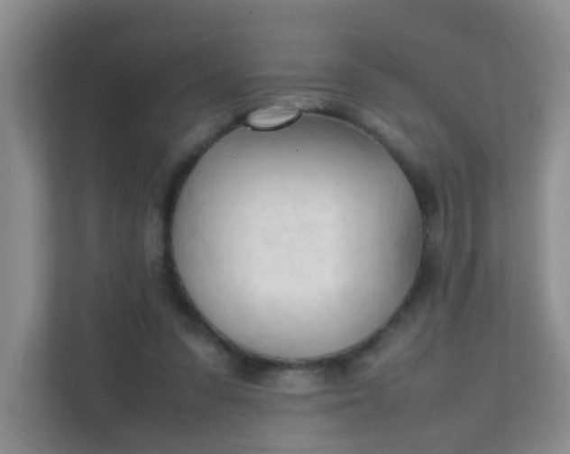 X0000111600303200907301452