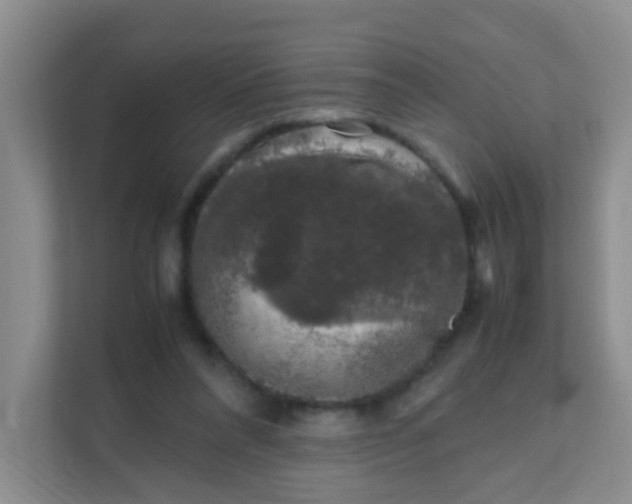 X0000111600304200907301452