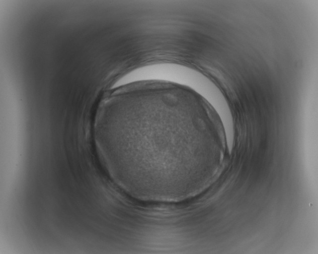 X0000111600308200907301452