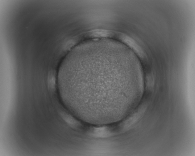 X0000111600309200907301452