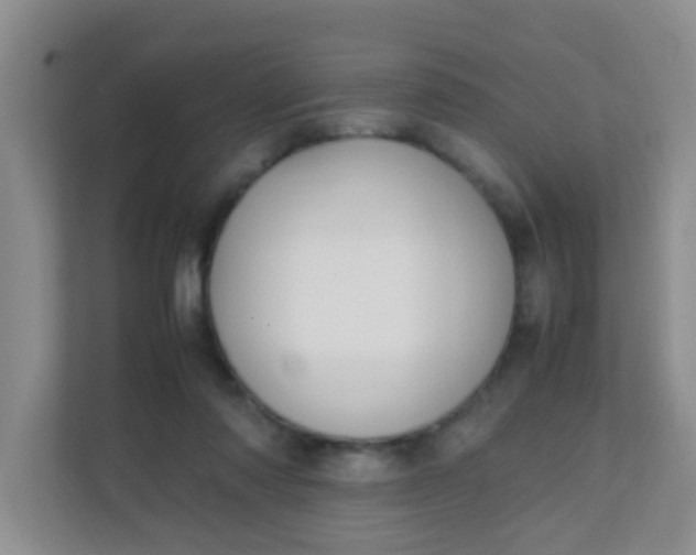 X0000111600310200907301452