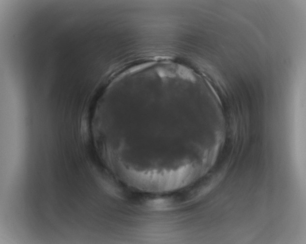 X0000111600312200907301452